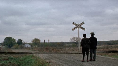 The Learning Tree Bild 4