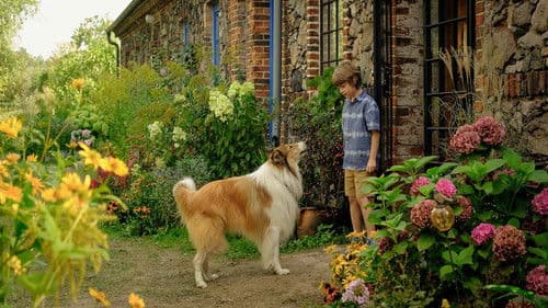 Lassie - Ein neues Abenteuer Bild 3