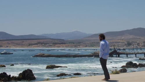 He Hated Pigeons Bild 3