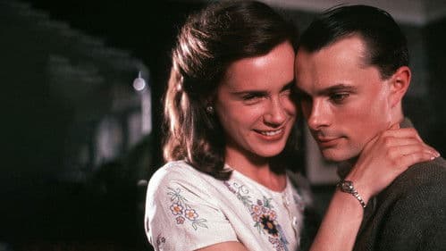 The Camomile Lawn Bild 4