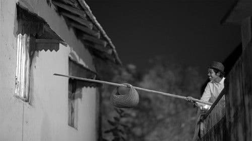 The First Film Bild 2