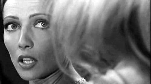 Der Tiger liebt nur frisches Fleisch Bild 6