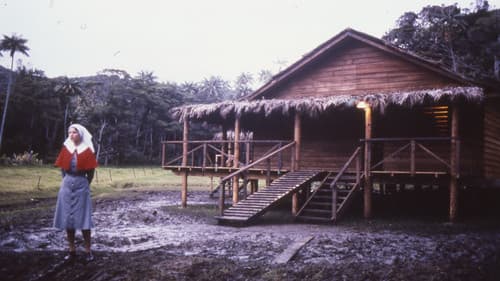 An Indecent Obsession Bild 1