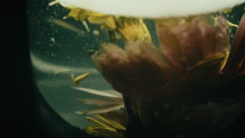 phoools (the film) Bild 2