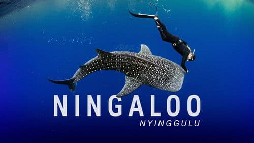 Ningaloo Nyinggulu Bild 3