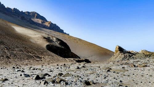 Tim und Struppi und der Fluch der Mumie Bild 2