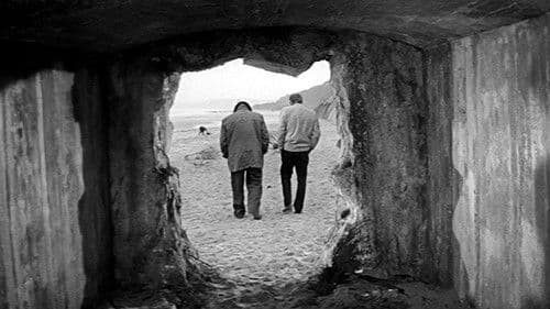 Ein Affe im Winter Bild 2