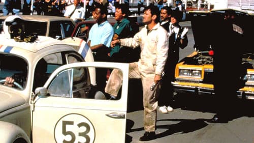 Ein toller Käfer kehrt zurück Bild 7