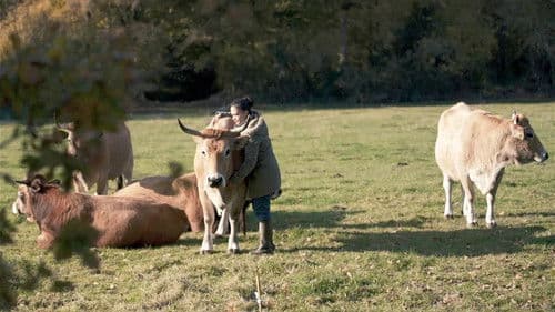 Tierleid vom Fließband Bild 5