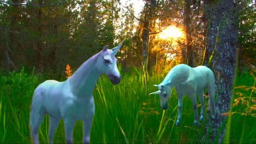 Stellar Quasar and the Scrolls of Dadelia Bild 2