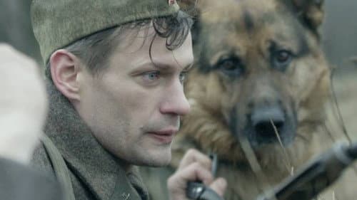 The War Dog Bild 3