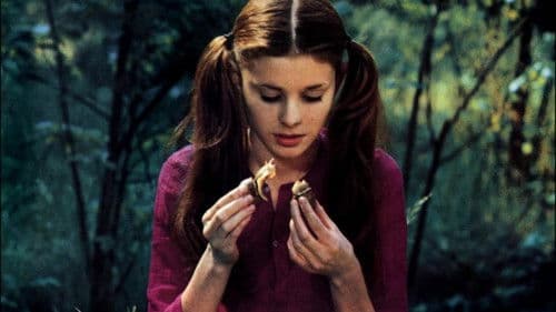 Rendezvous zum fröhlichen Tod Bild 1