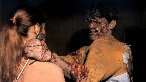 Within the Woods Bild 4