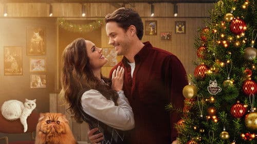 Christmas at the Catnip Café Bild 1