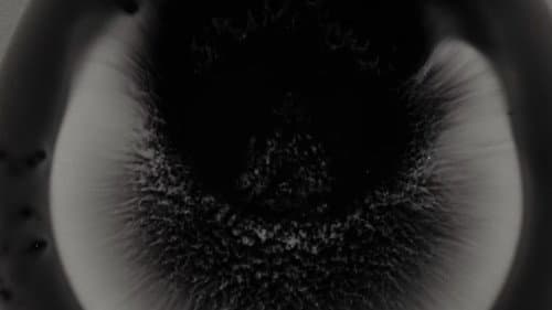 Michael Gira: I Wonder If I’m Singing What You’re Thinking Me to Sing (Live Solo 2022) Bild 1