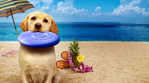 Ein Hund rettet den Sommer Bild 2