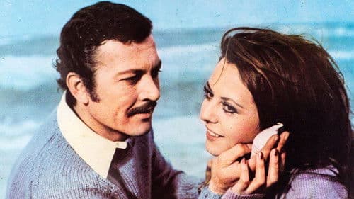 Kırık Hayat Bild 1