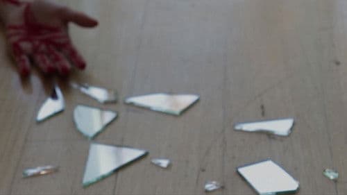 The Reflection Bild 1