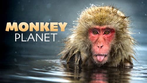 Monkey Planet Bild 6