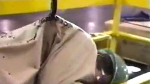 Will You Be Here Tomorrow? Bild 1