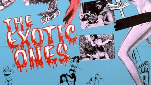 The Exotic Ones Bild 3