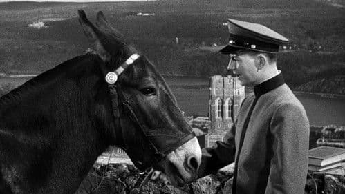 Francis Goes to West Point Bild 5