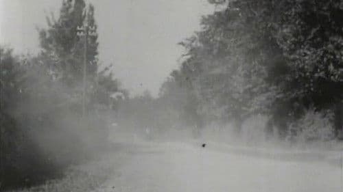 How It Feels to Be Run Over Bild 1