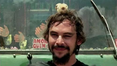 Bye Bye Brasil Bild 3