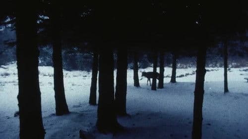 Landscape Suicide Bild 5