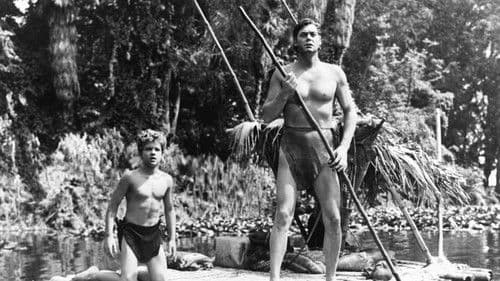 Tarzan und die Amazonen Bild 1