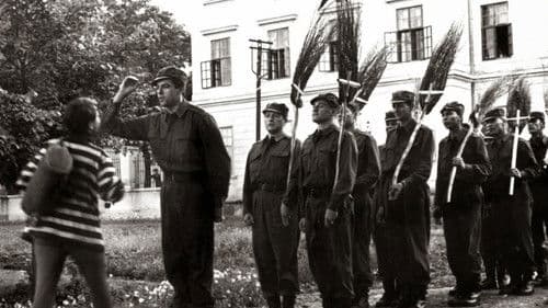 Princ, a katona Bild 3