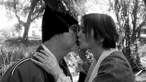 Where Is The Cat's Tail? Bild 8