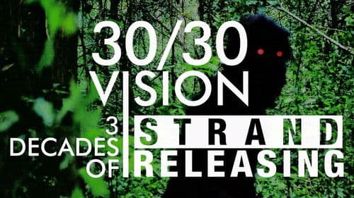30/30 Vision: Three Decades of Strand Releasing Bild 5