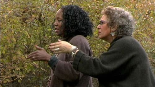 Symbiopsychotaxiplasm: Take 2½ Bild 1