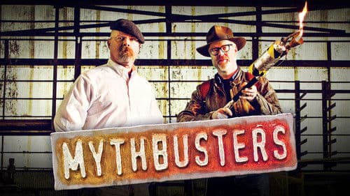 MythBusters - Die Wissensjäger Bild 8