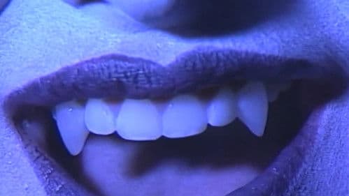 Vampire Time Travelers Bild 3