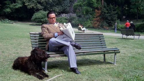 È arrivato mio fratello Bild 8