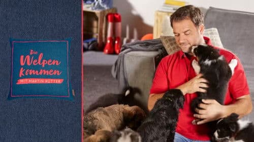 Martin Rütter - Die Welpen kommen Bild 1