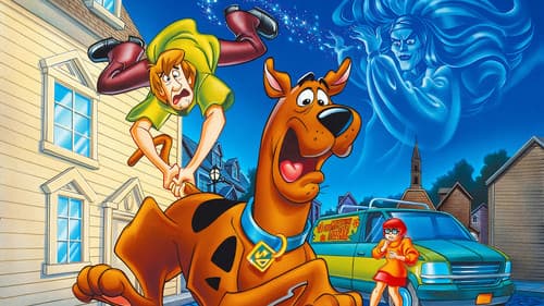 Scooby-Doo! und das Geheimnis der Hexe Bild 1