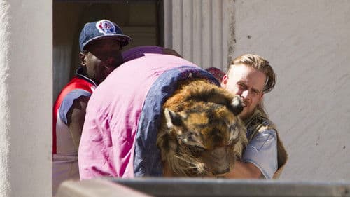 Run Coyote Run Bild 2