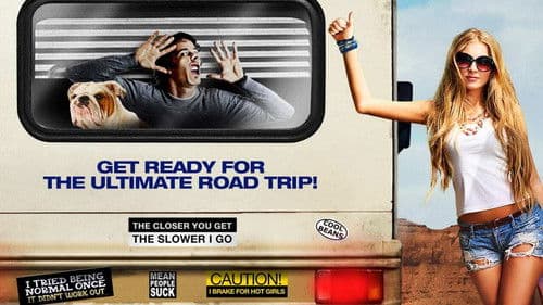 American Idiots Bild 3