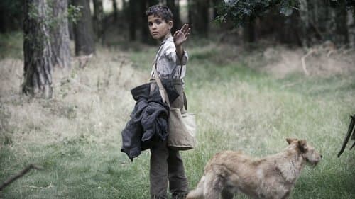 Lauf Junge lauf Bild 4