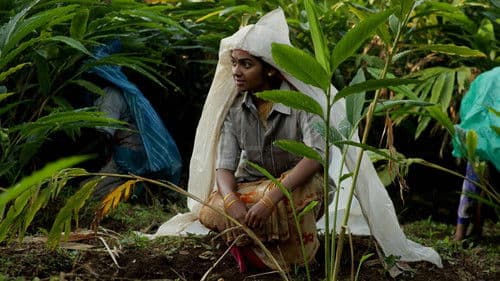 மேற்குத்தொடர்ச்சி மலை Bild 5