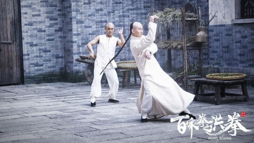 百家拳之洪拳 Bild 1