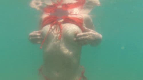 Sex In The Sun Bild 1