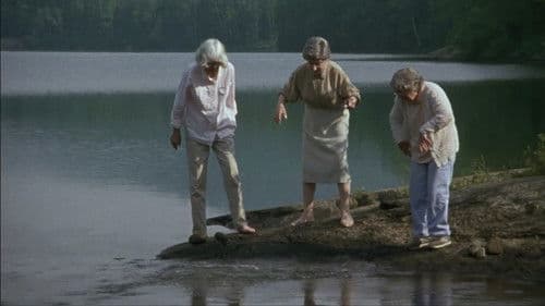 The Company of Strangers Bild 1