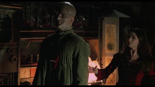 Die Wahrheit über Lady Frankenstein Bild 2