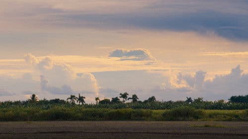 In Song: Arturo Chacón-Cruz Bild 3