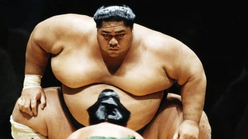 National Geographic: Inside Sumo's Ultimate Clash Bild 1