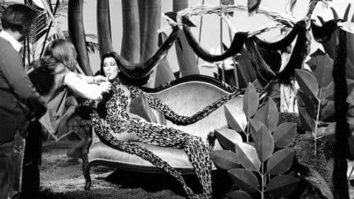 Cher... and Other Fantasies Bild 1